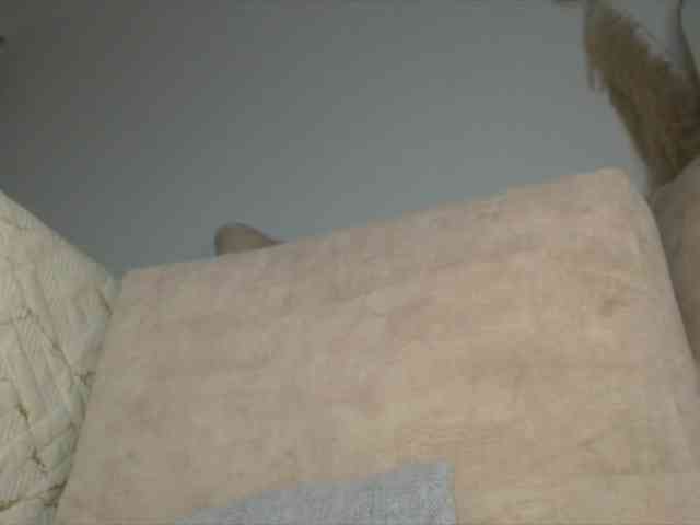 Trissabenson webcam