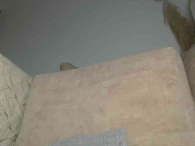 Trissabenson webcam