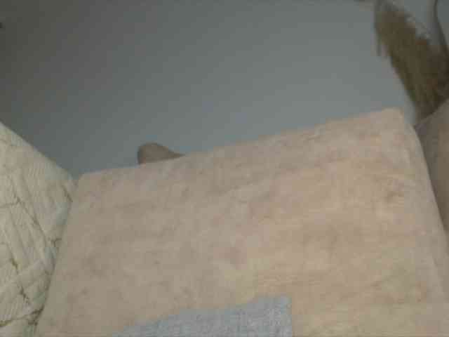 Trissabenson webcam