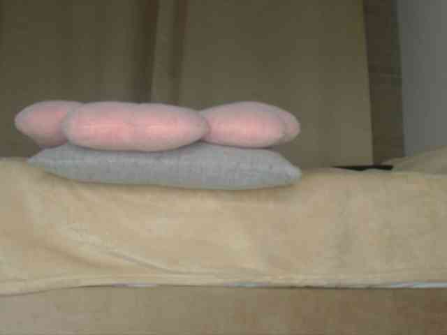 Trissabenson webcam