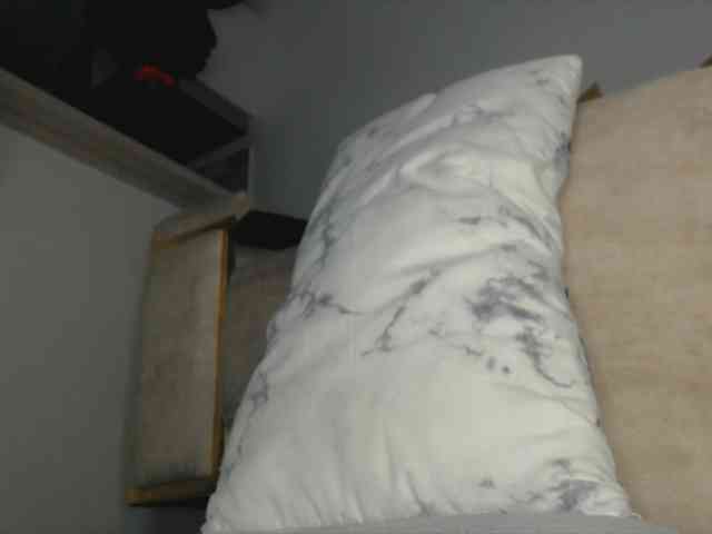Trissabenson webcam