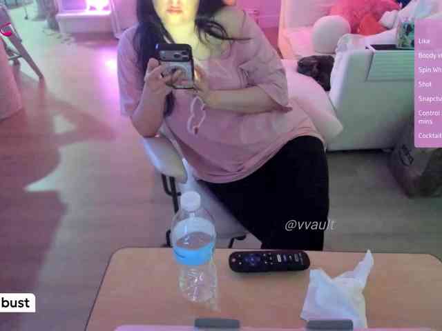 Vesabb webcam