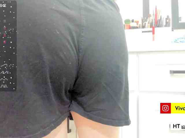 Vesabb webcam