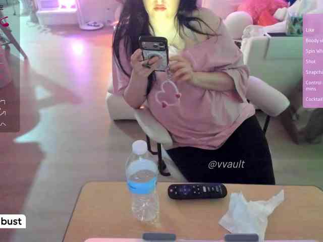 Vesabb webcam