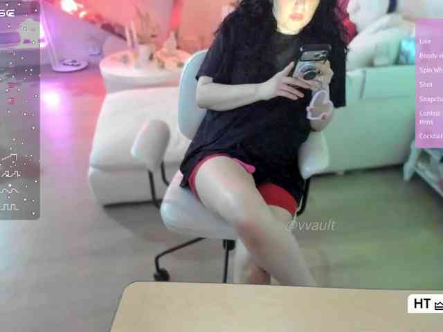 Vesabb webcam