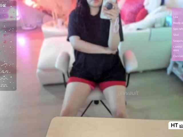 Vesabb webcam