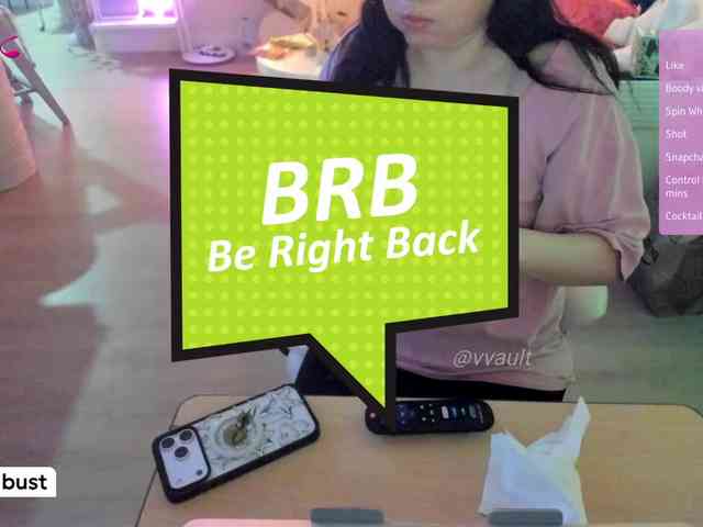 Vesabb webcam