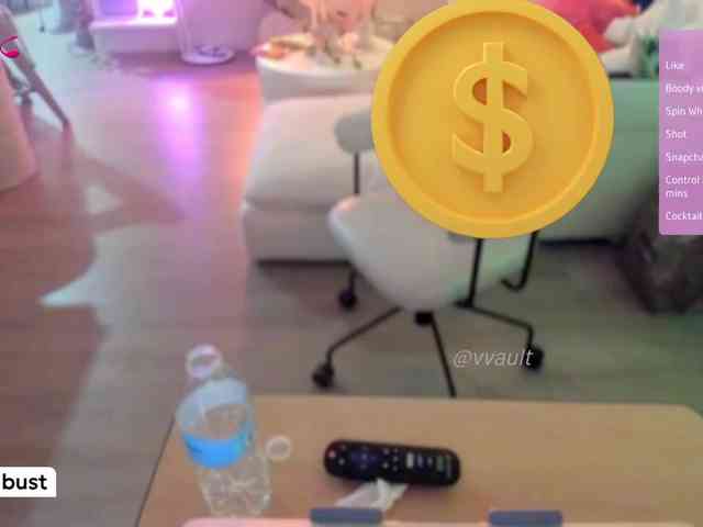 Vesabb webcam