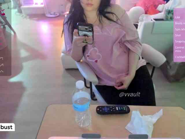 Vesabb webcam