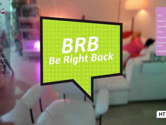 Vesabb webcam