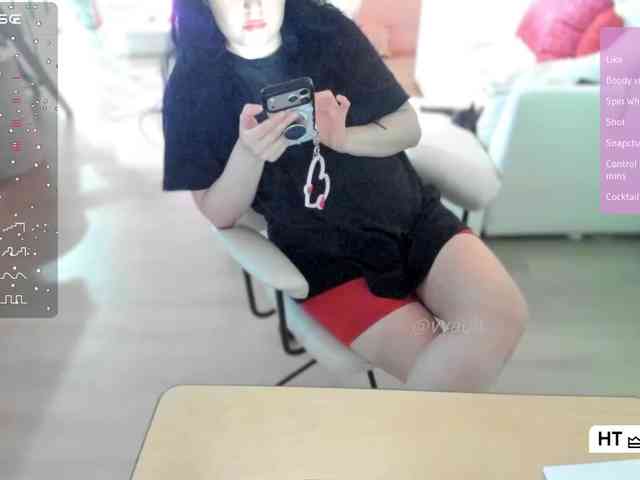 Vesabb webcam