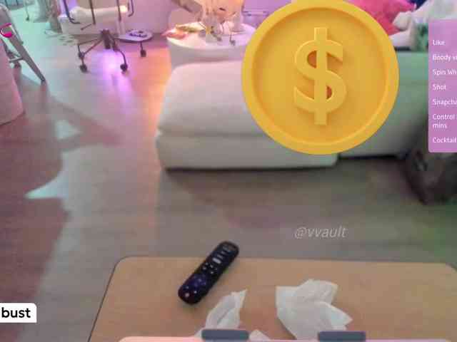 Vesabb webcam