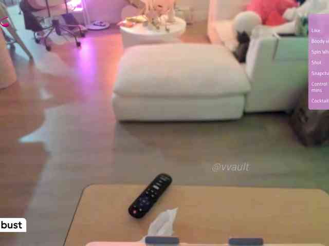 Vesabb webcam