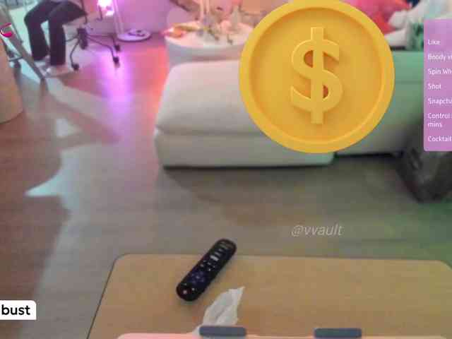 Vesabb webcam