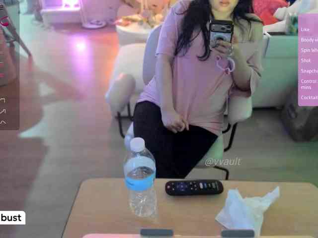 Vesabb webcam