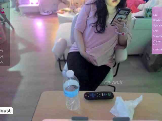 Vesabb webcam