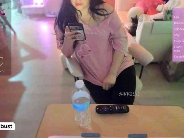 Vesabb webcam
