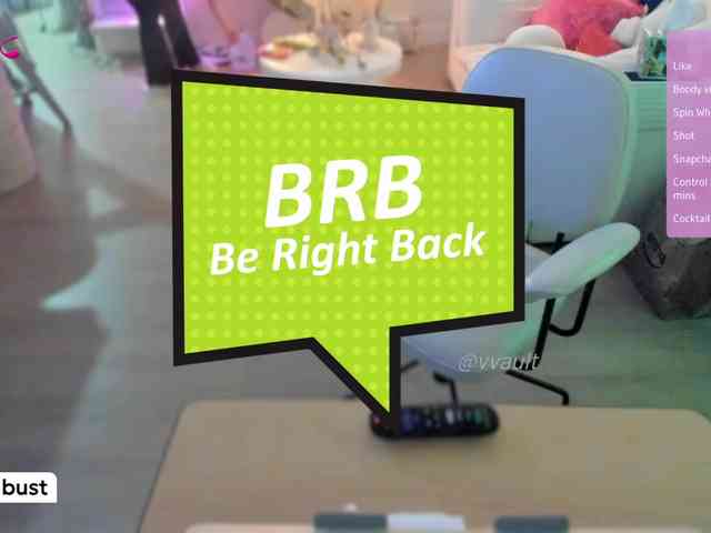 Vesabb webcam