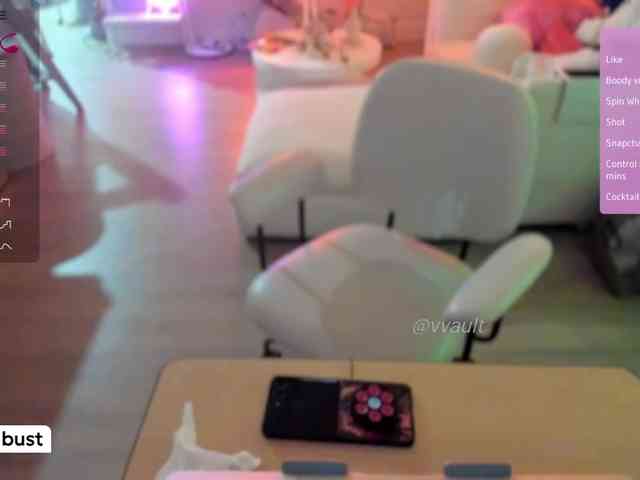 Vesabb webcam
