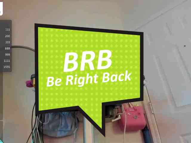Vesabb webcam