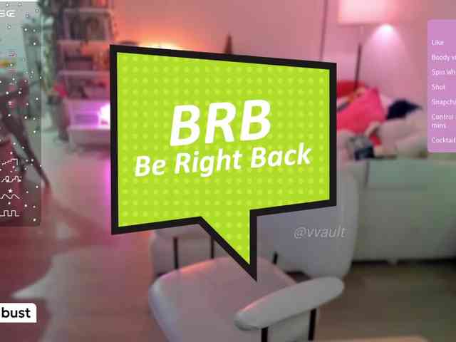 Vesabb webcam