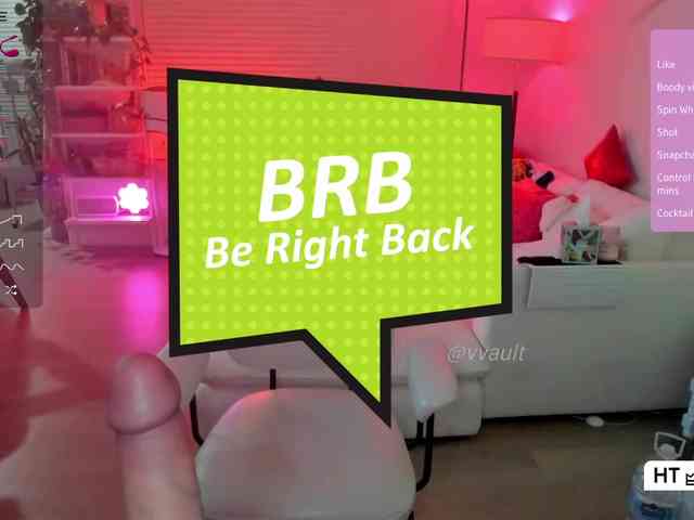 Vesabb webcam