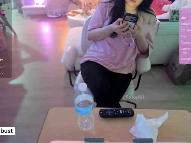 Vesabb webcam