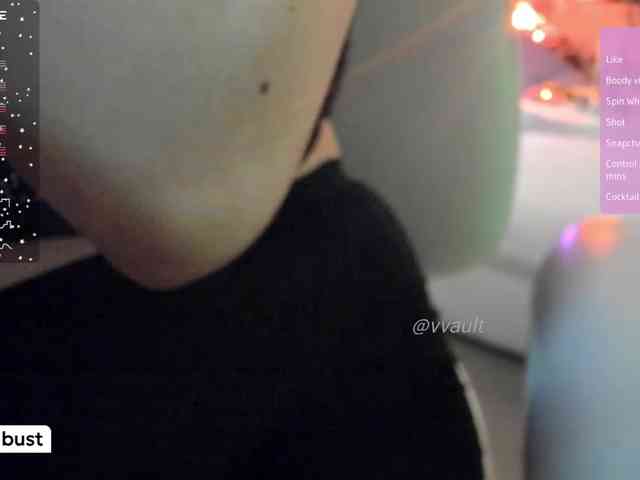 Vesabb webcam