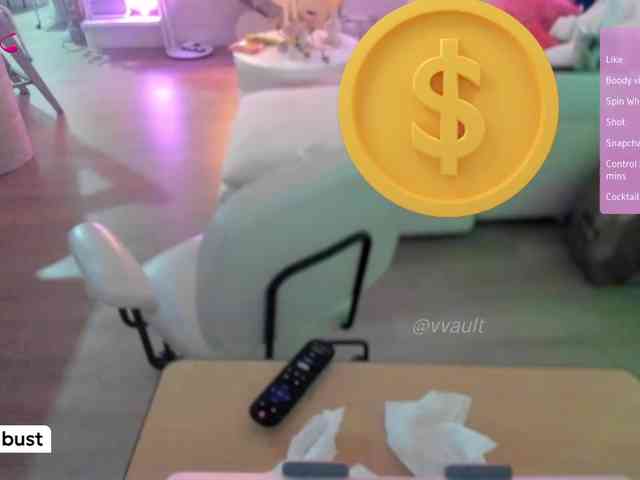 Vesabb webcam