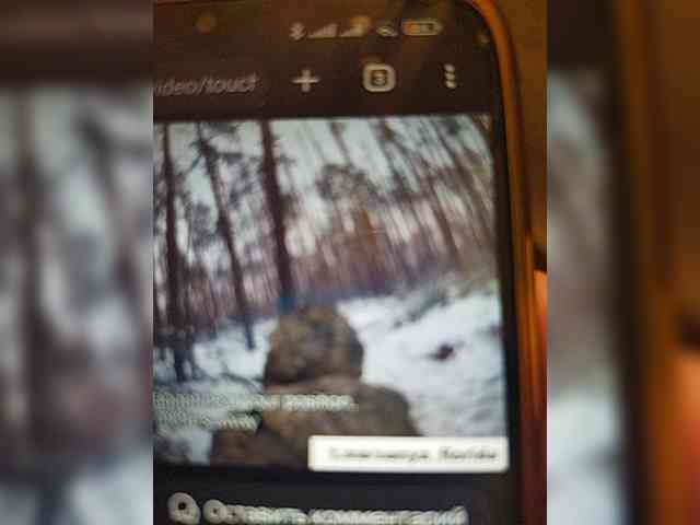1PUSHISTIK