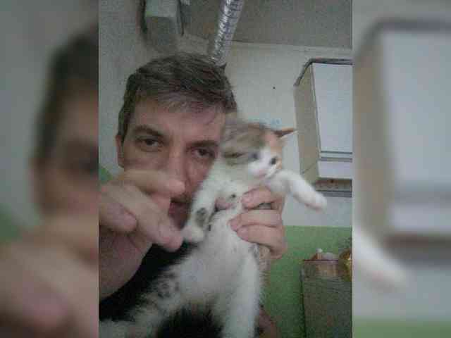 1PUSHISTIK