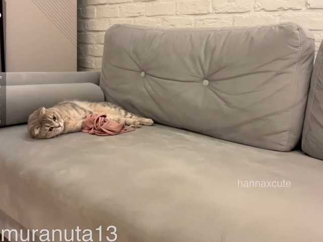 tinykisa