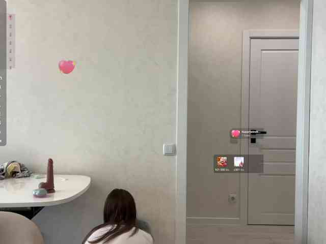 tinykisa webcam