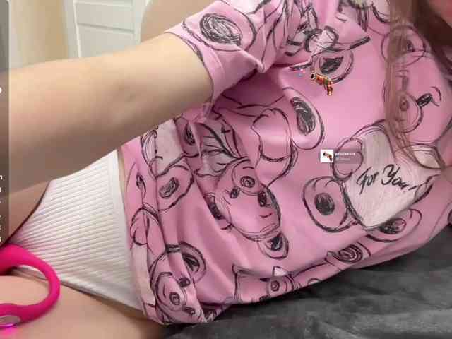 tinykisa webcam