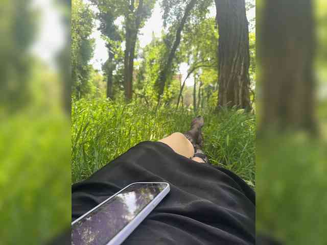 NIKA_PORTAL_YYY