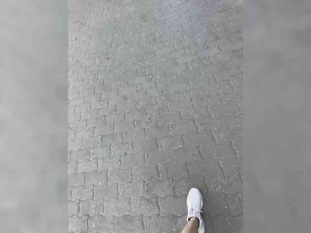 NIKA_PORTAL_YY