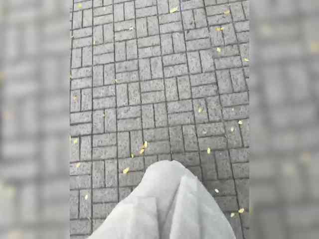 NIKA_PORTAL_1444