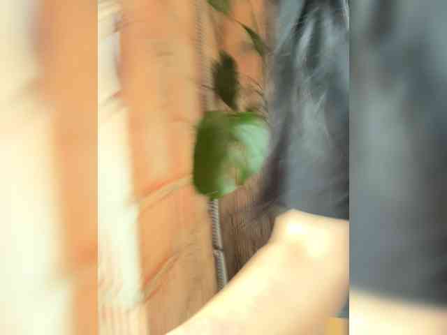 NIKA_PORTAL_YY