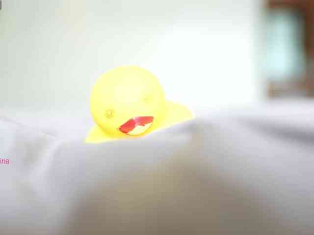 elisonni webcam