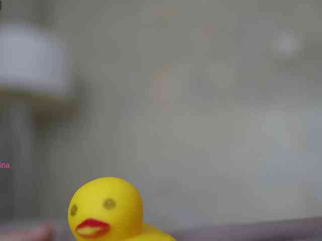 elisonni webcam