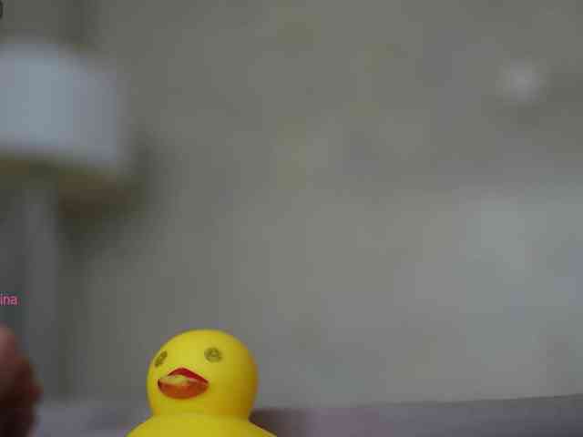 elisonni webcam
