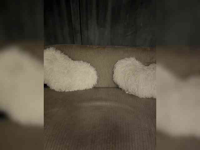 _EUPHORIAA_ webcam