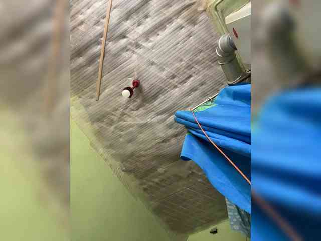 ViollaSweetA webcam
