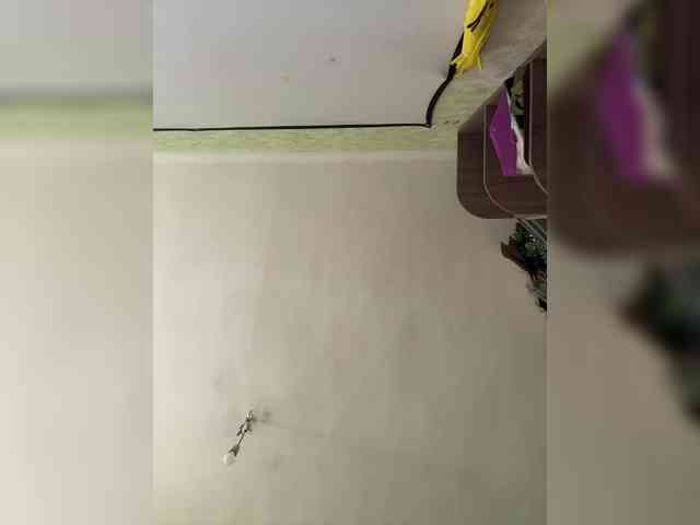ViollaSweetA webcam