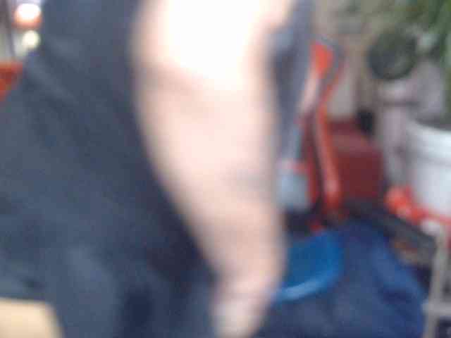 ShanonTITS webcam