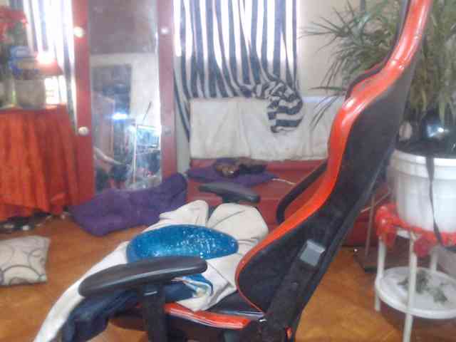 ShanonTITS webcam