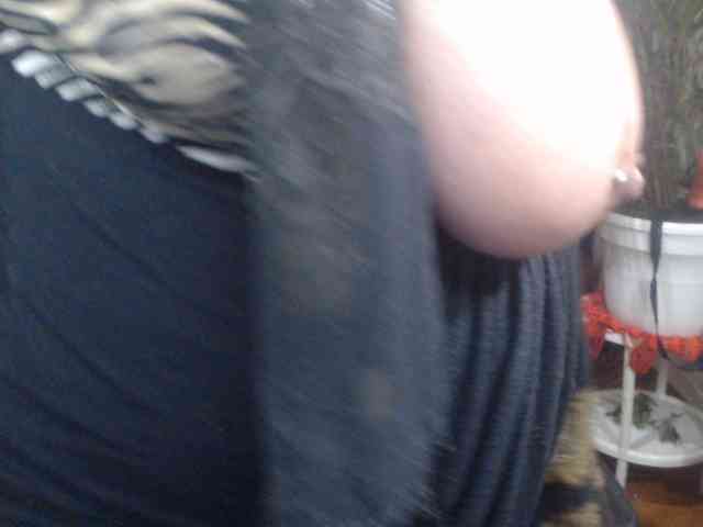 ShanonTITS webcam