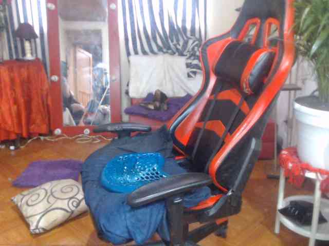 ShanonTITS webcam