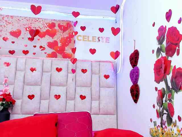 Celeste-Linco webcam