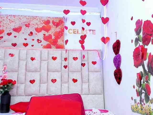 Celeste-Linco webcam